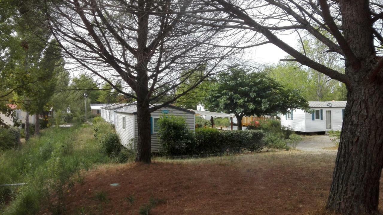Shaka Aum Campsite